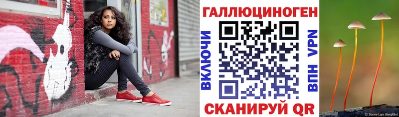 kraken вход  Железногорск  Галлюциногенные грибы мухоморы 